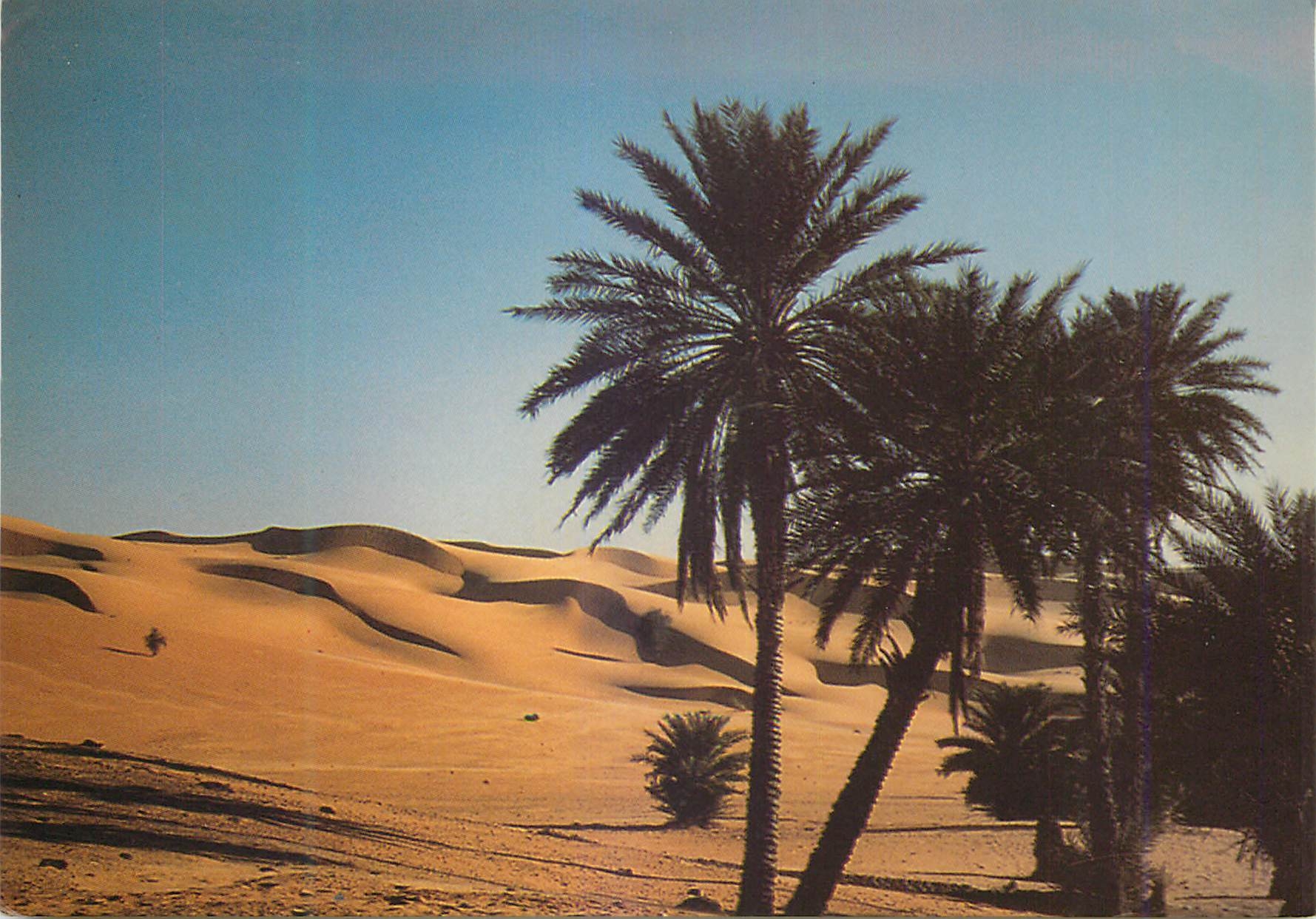 CPM Rep Islamique de Mauritanie Oasis et erg de Djouk