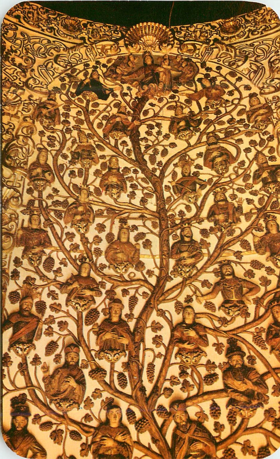 CPM Mexico Interior view of the Tree of Santo Domingo Oaxaca Oax