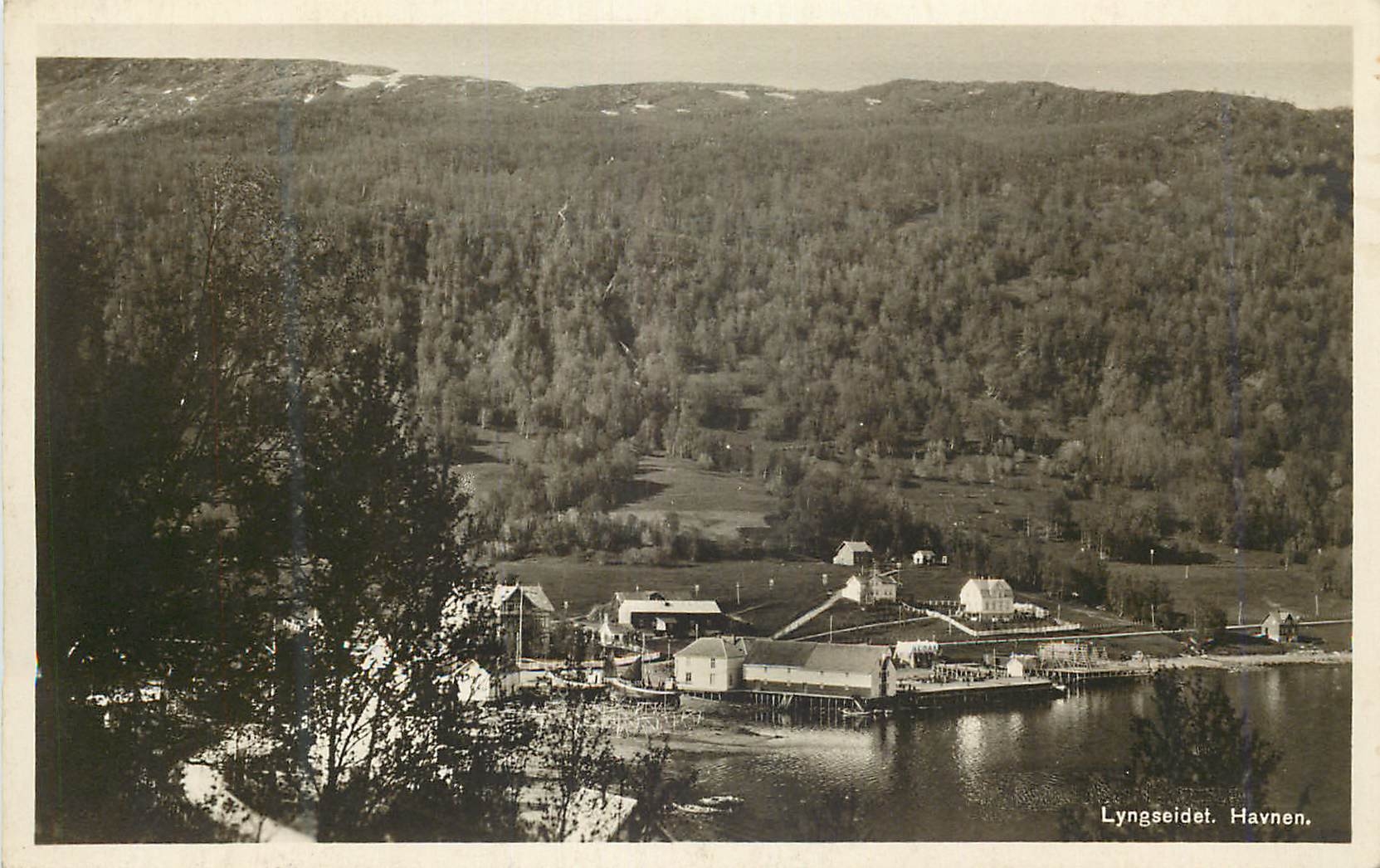 Lyngseidet. Havnen. — Vue aérienne d'un port fluvial entouré de forêts — sans éditeur ni numéro de série visible