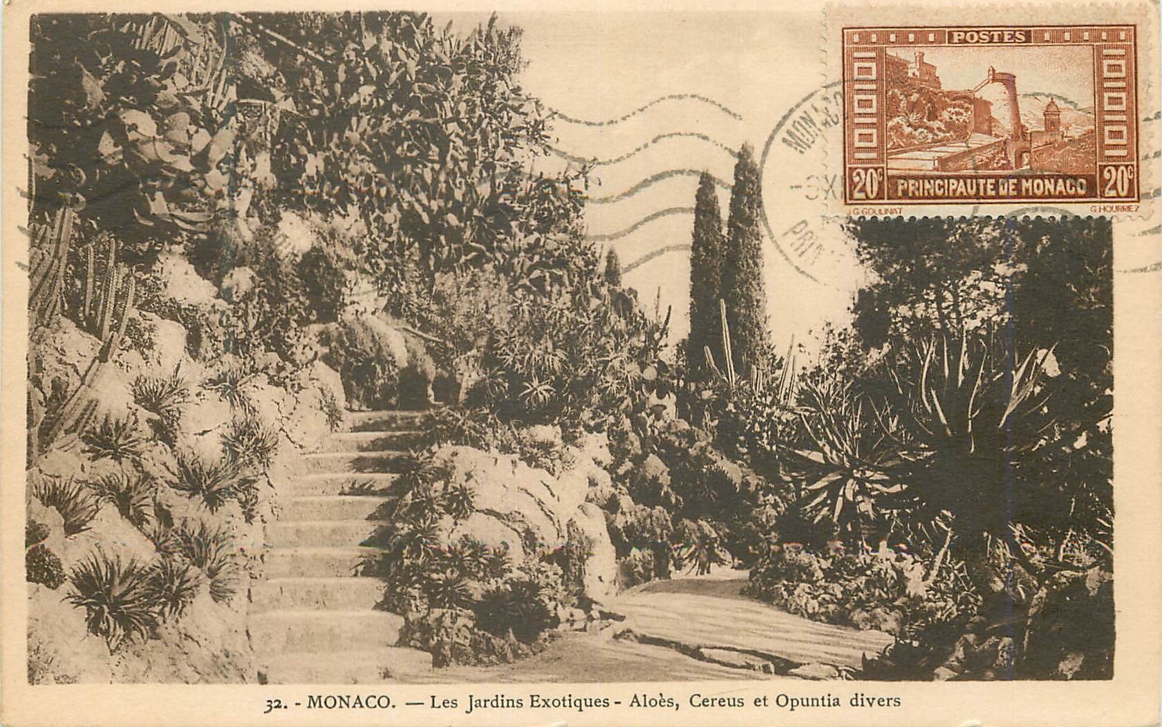 CPA MONACO Les Jardins Exoliques- Aloes Cereus et Opuntia divers