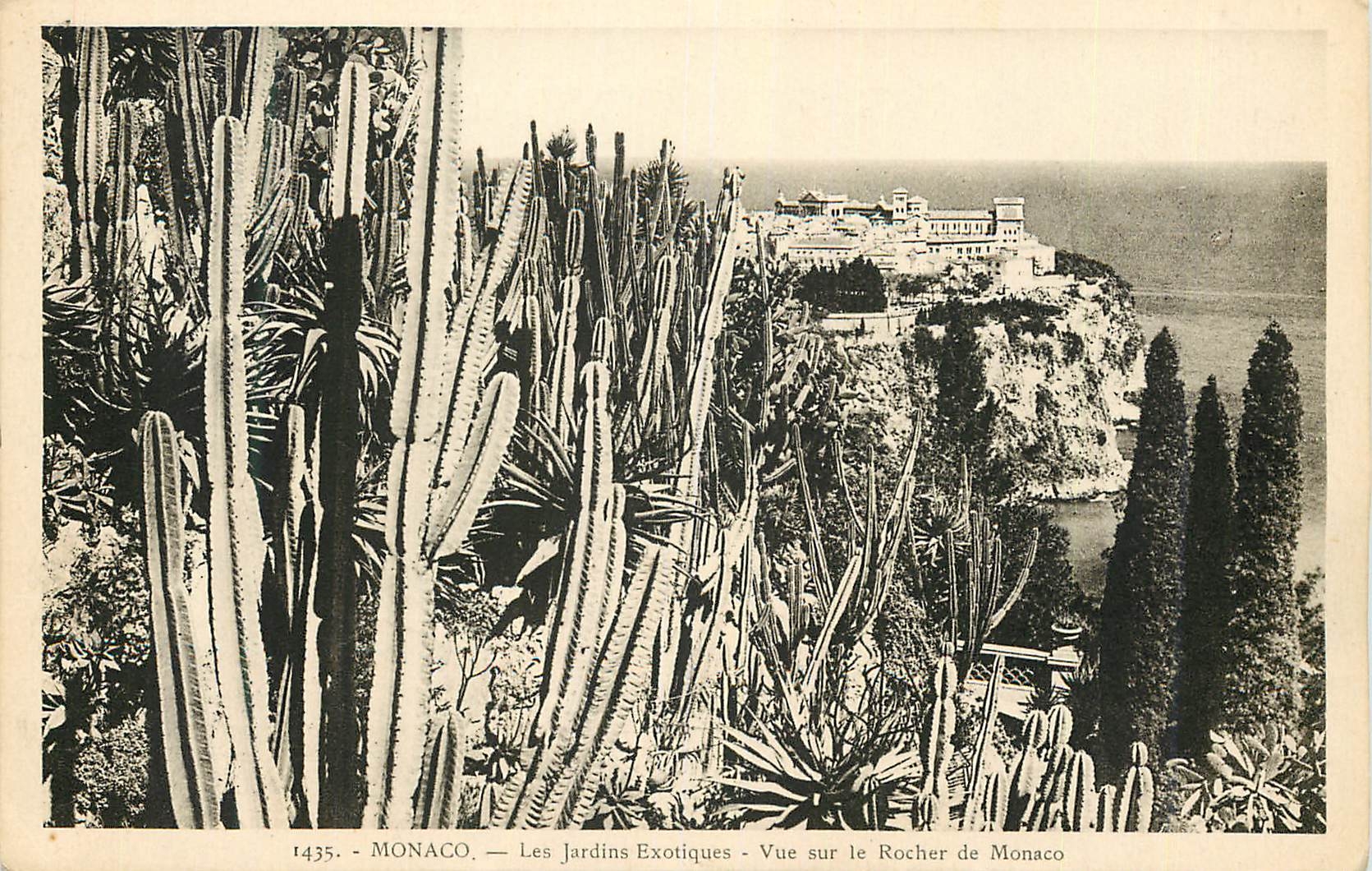 CPA Monaco les jardins exotiques vue sur le rocher de monaco