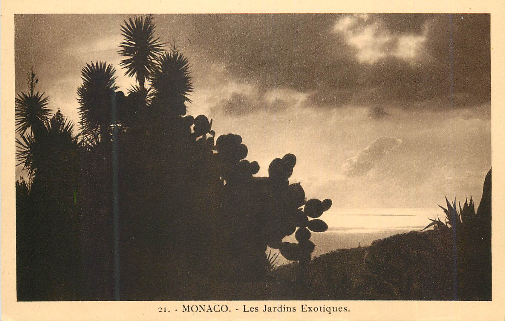 CPA MONACO - Les Jardins Exotiques.
