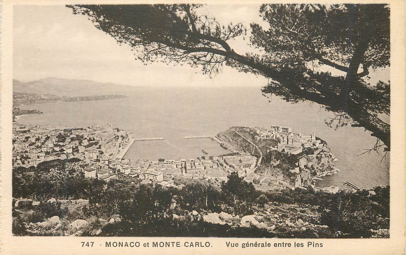 CPA MONACO et MONTE CARLO. Vue générale entre les Pins