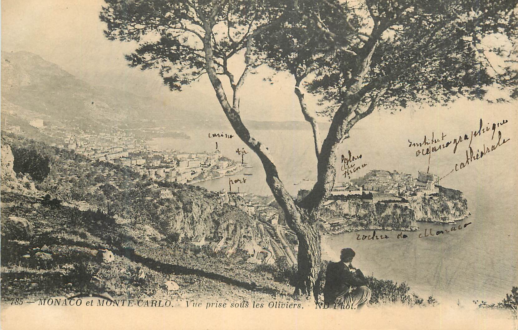 CPA Monaco et Monte-carlo vue prise sous les Oliviers