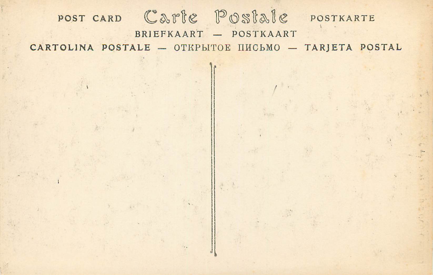 CPA Monte-carlo Les Jardins. Les Araucarias. — Rückseite