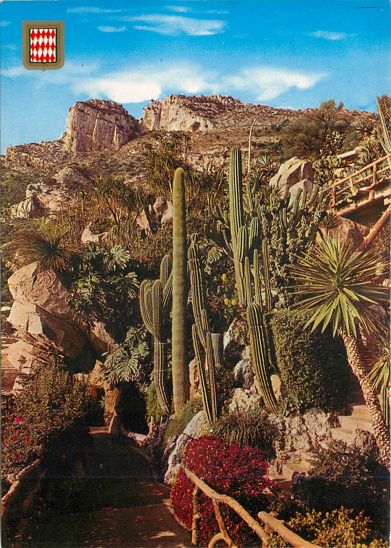 CPM PRINCIPAUTE DE MONACO le jardin Exotique