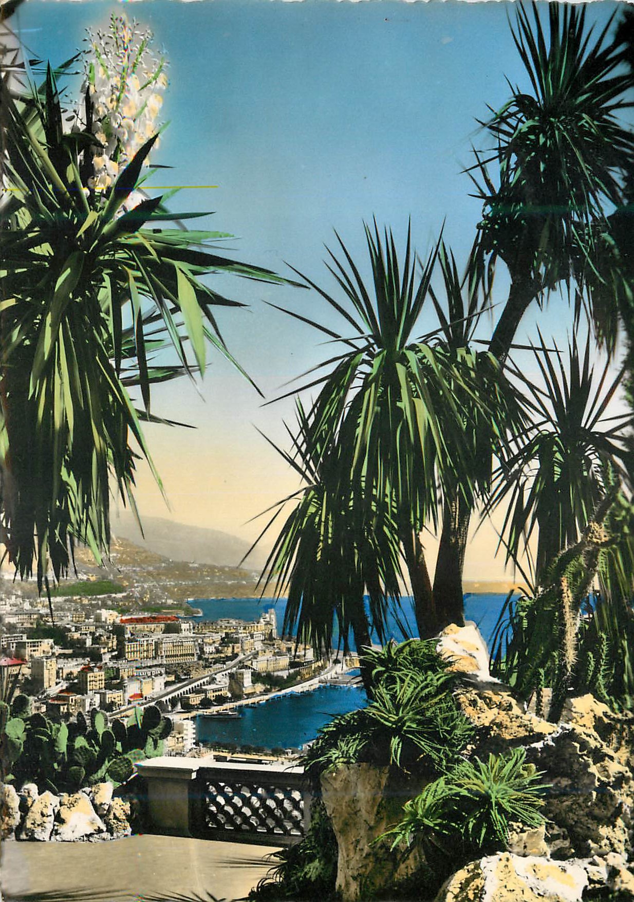 CPM LA COTE D'AZUR - MONTE-CARLO Vue prise à travers les plantes exotiques