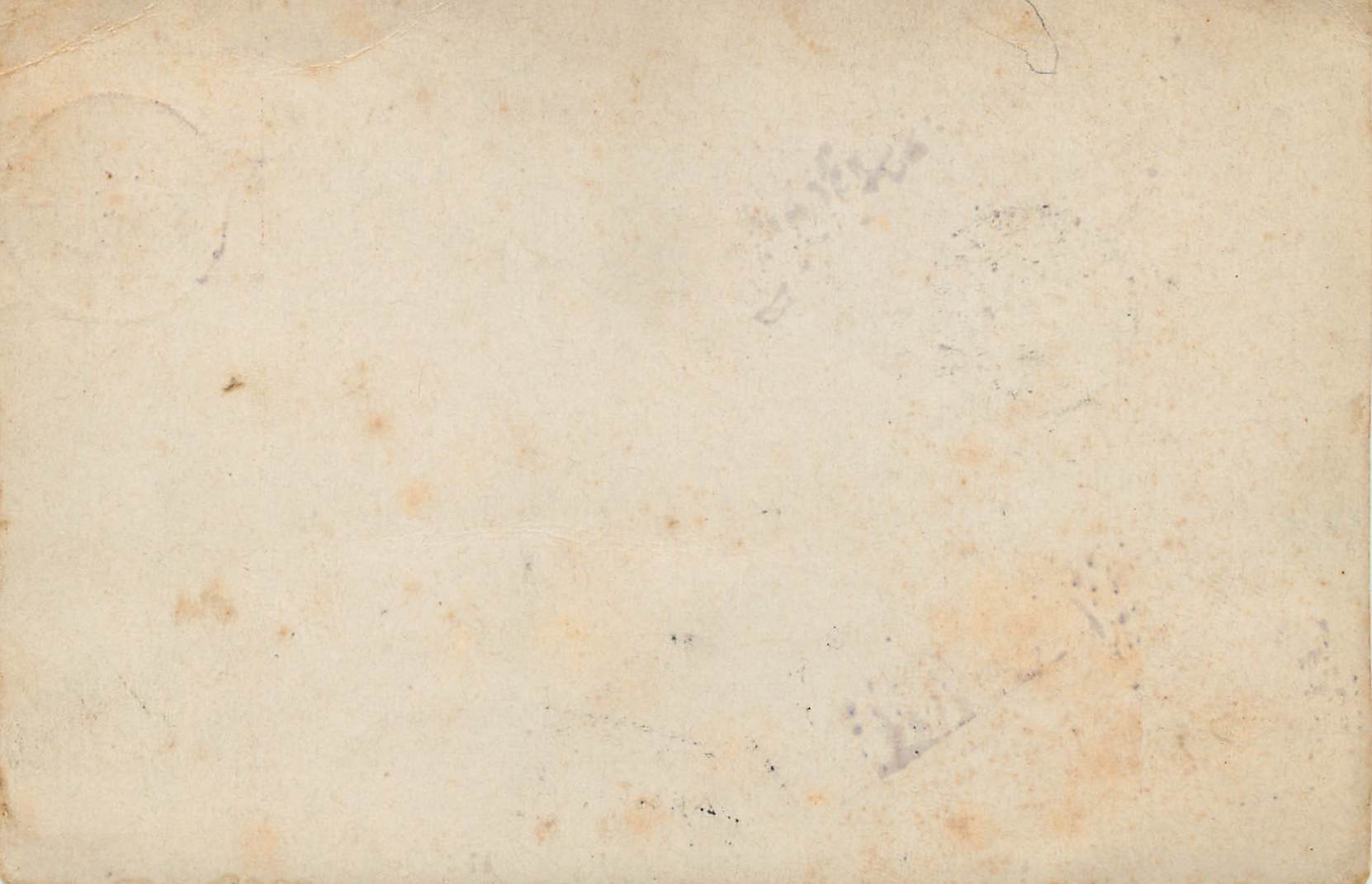 Entier Postal Suriname 1893 pour Rotterdam — Back