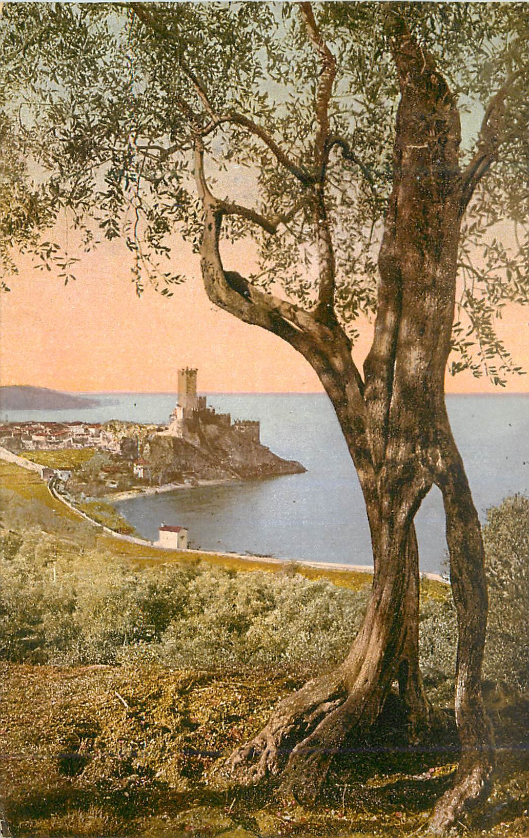 CPA Lago di Garda Malcesine 