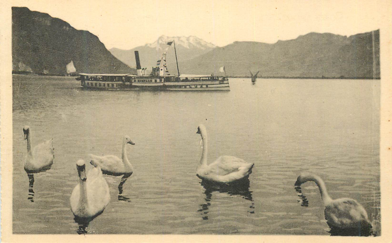 CPA Lac Leman Bateau Cygnes