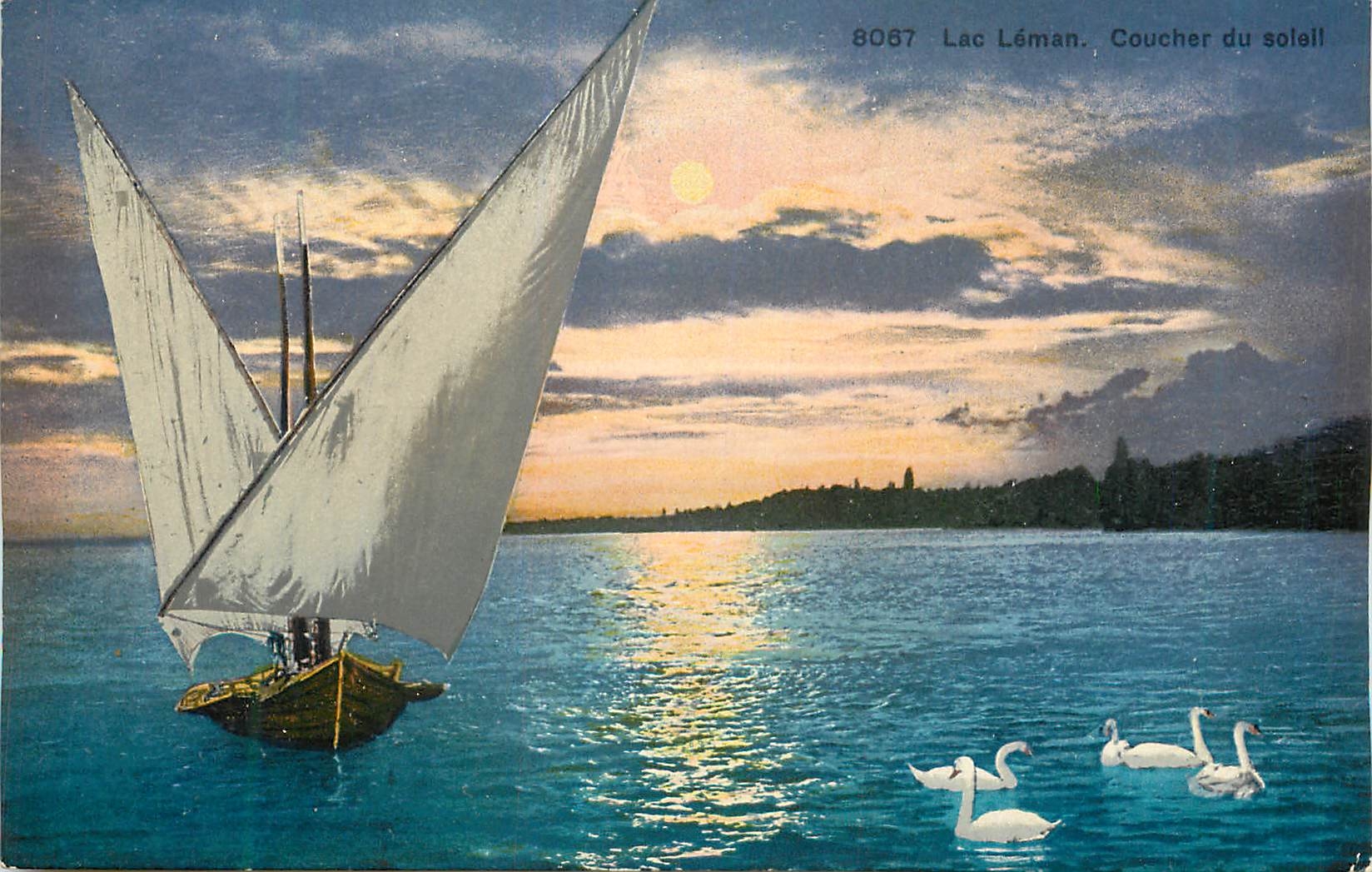 CPA Lac Leman Coucher du soleil Bateau Cygnes