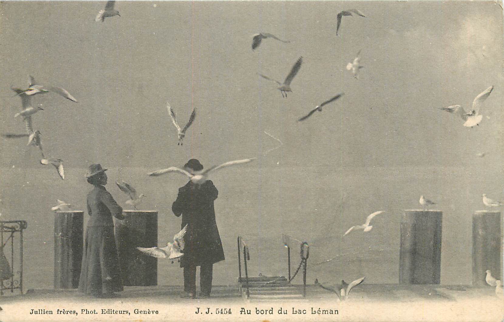 CPA Au bord du Lac Leman Mouettes Oiseaux