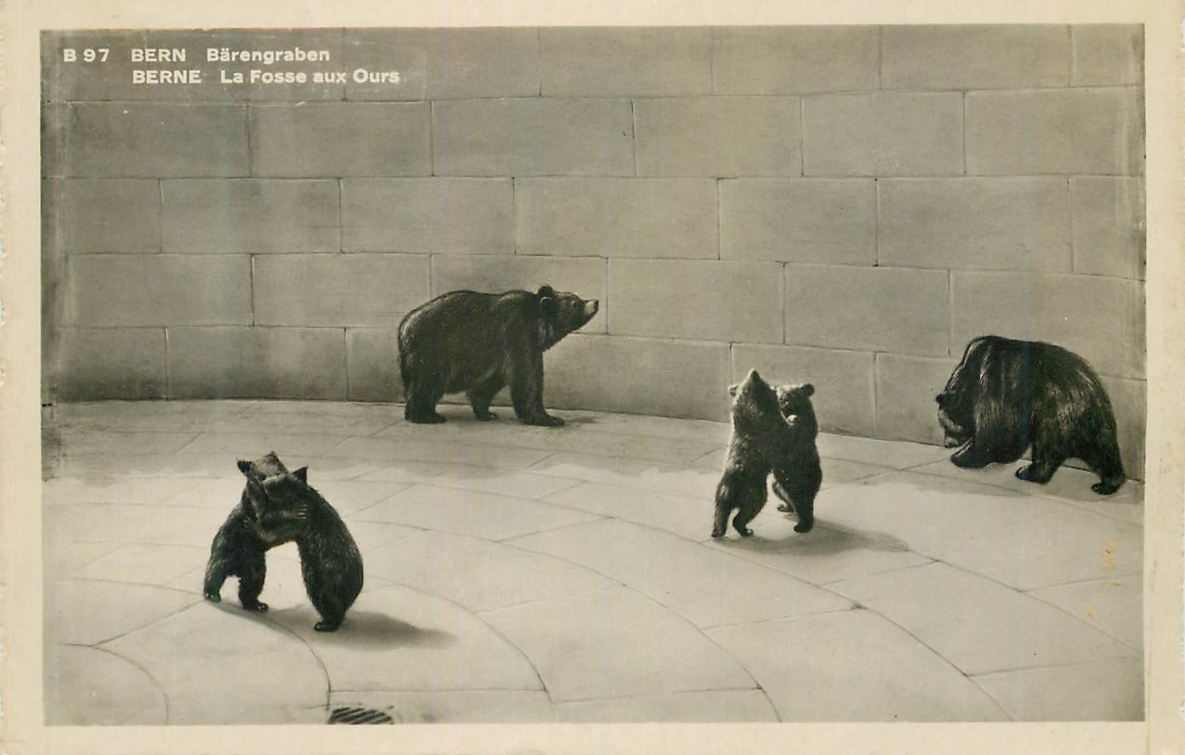 CPA Bern Barengraben La fosse aux ours