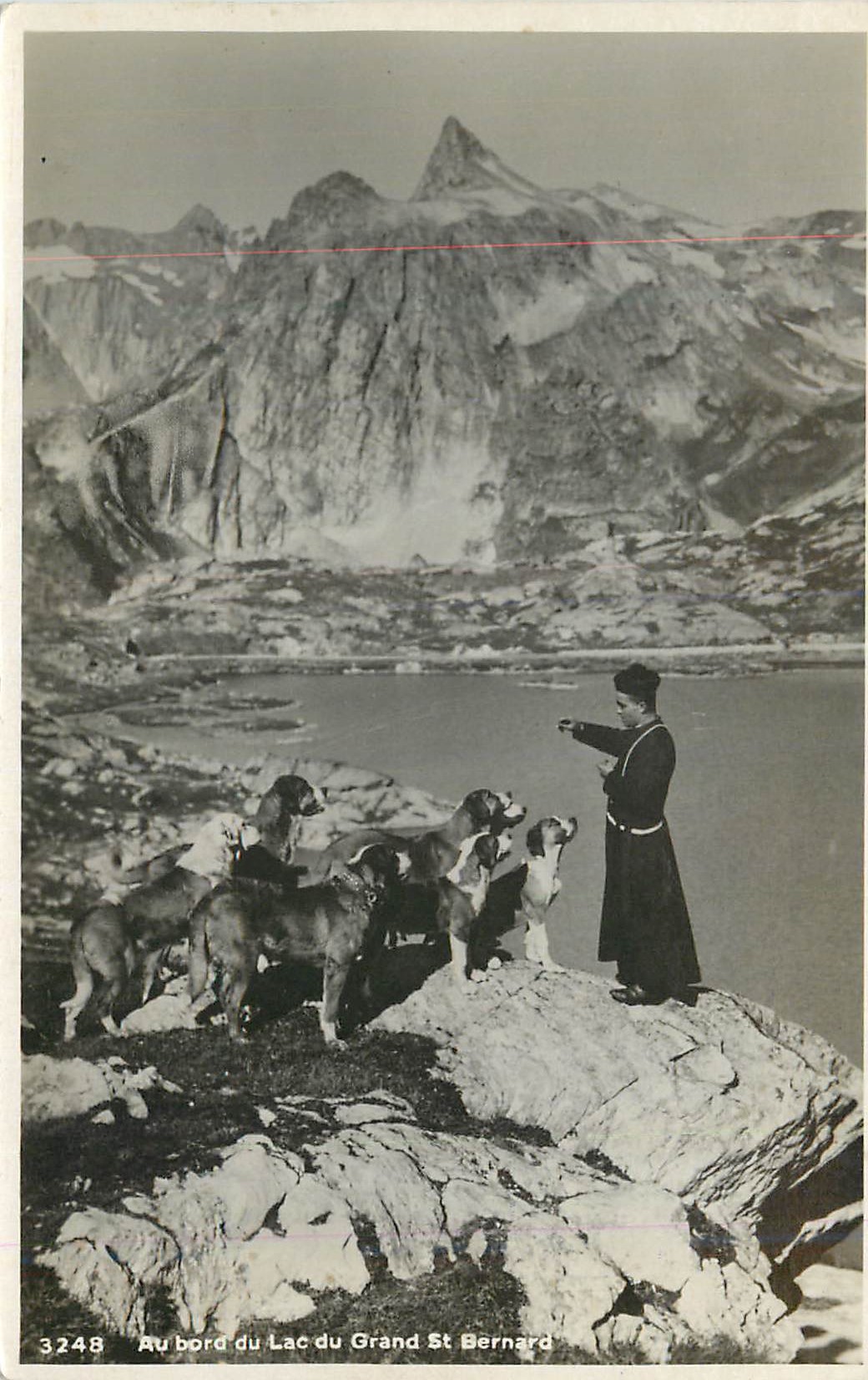 CPA Au bord du Lac du Grand St Bernard Chiens