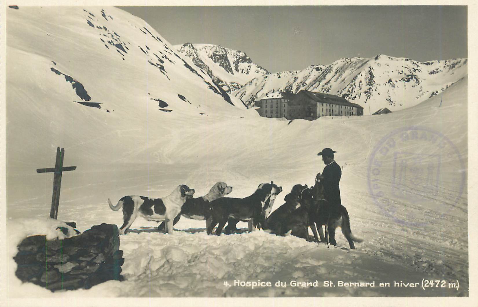 CPA Hospice du Grand St Bernard en hiver Chiens