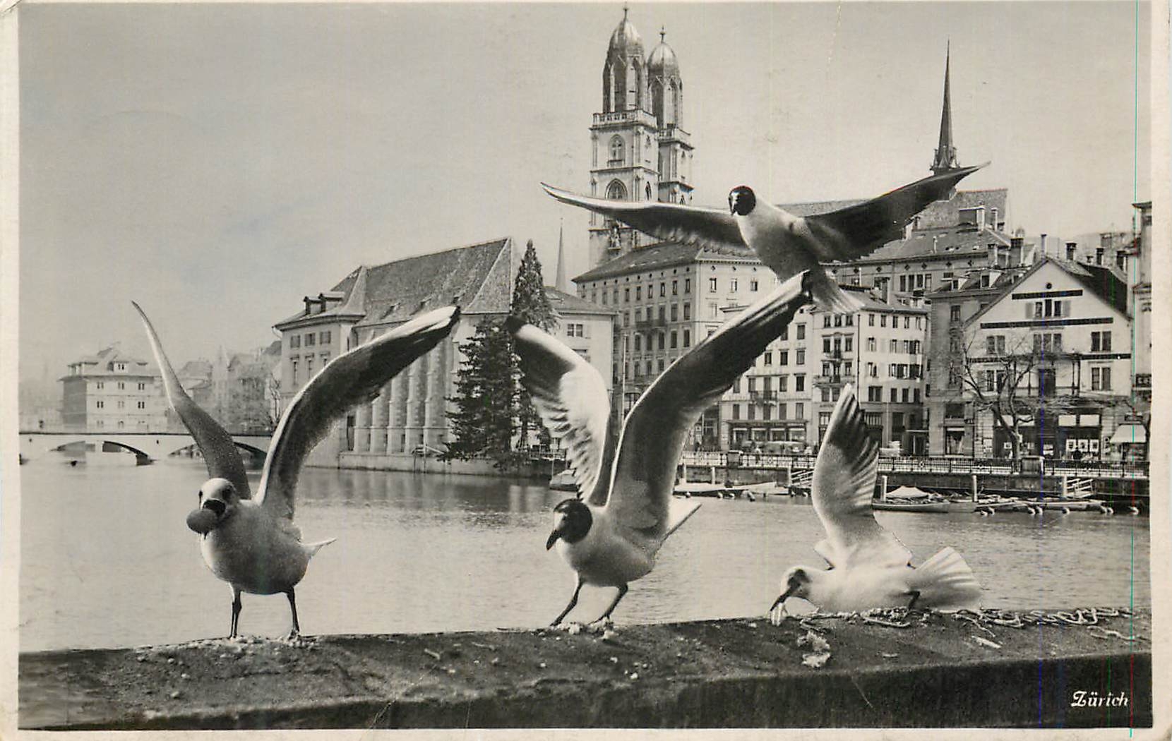 CPA Zurich Mouettes