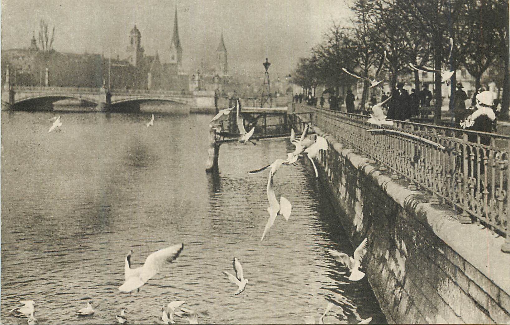 Zurich, Utoquai — vue du quai avec goélands — W. Pleyer, Zurich-Luzern - Recto