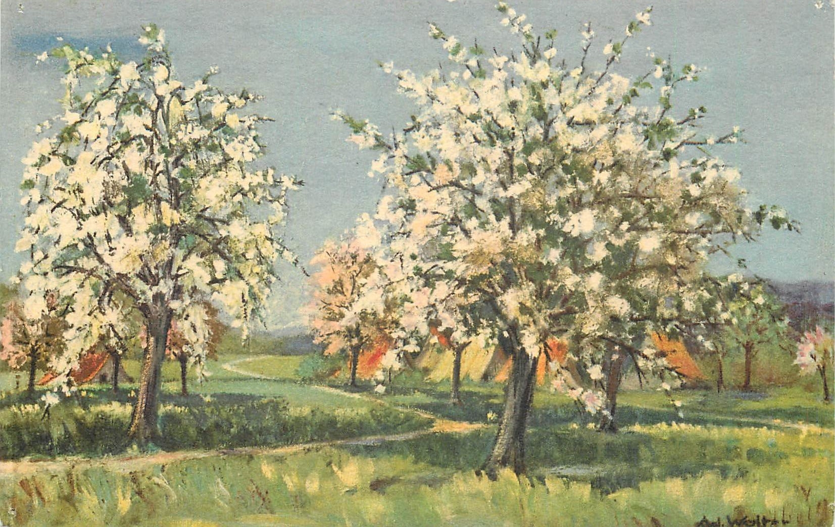 CPA Arbres en fleurs