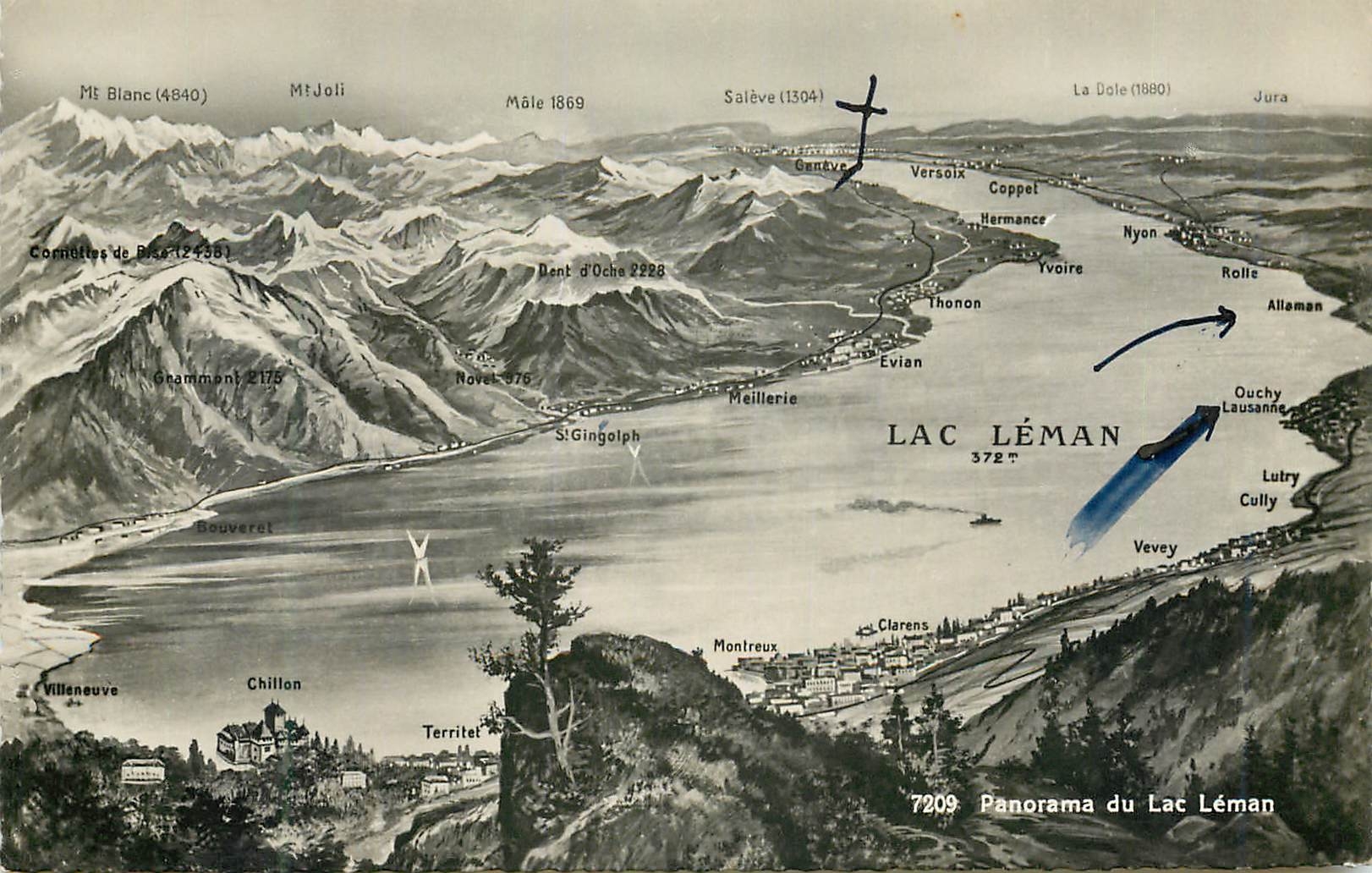 CPM Panorama du Lac Leman