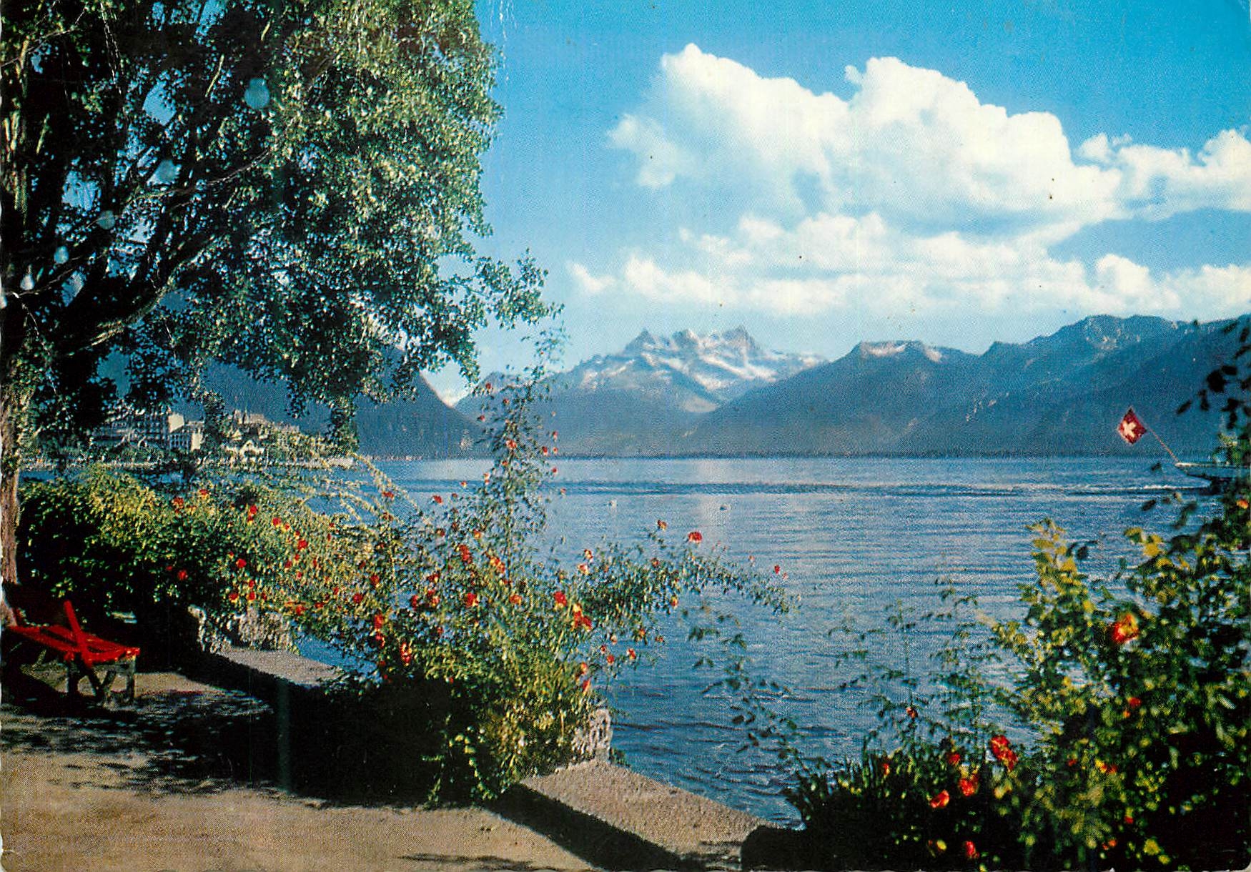 Lac Léman et les Dents du Midi — vue panoramique — BOVEY & Cie Editeurs, Genève, n° 8113