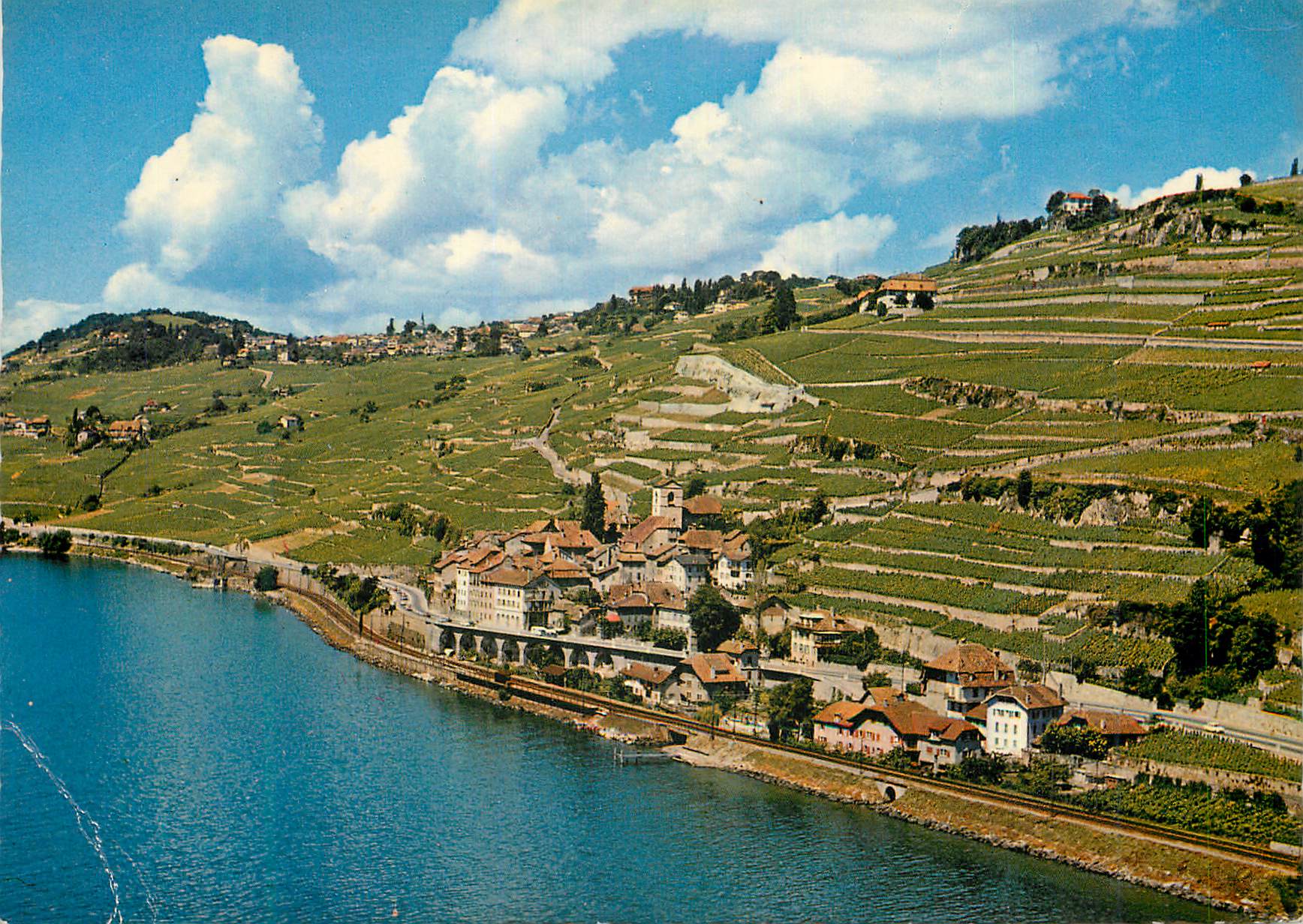 CPM Saint Saphorin pres Vevey Vignobles de Lavaux Lac Leman Photoglob Wehrli S A Zurich Vevey