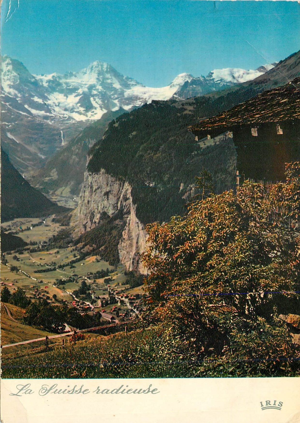 CPM La Luisse radieuse Iris Vue sur la Vallee de Lauterbrunnen Landschaft in der Nahe von Lauterbrunnen