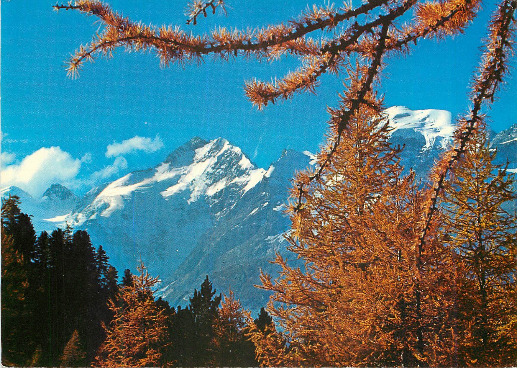 CPM Herbsttag im Oberengadin der Piz Bernina Photo und Verlag Han Steiner St Moritz