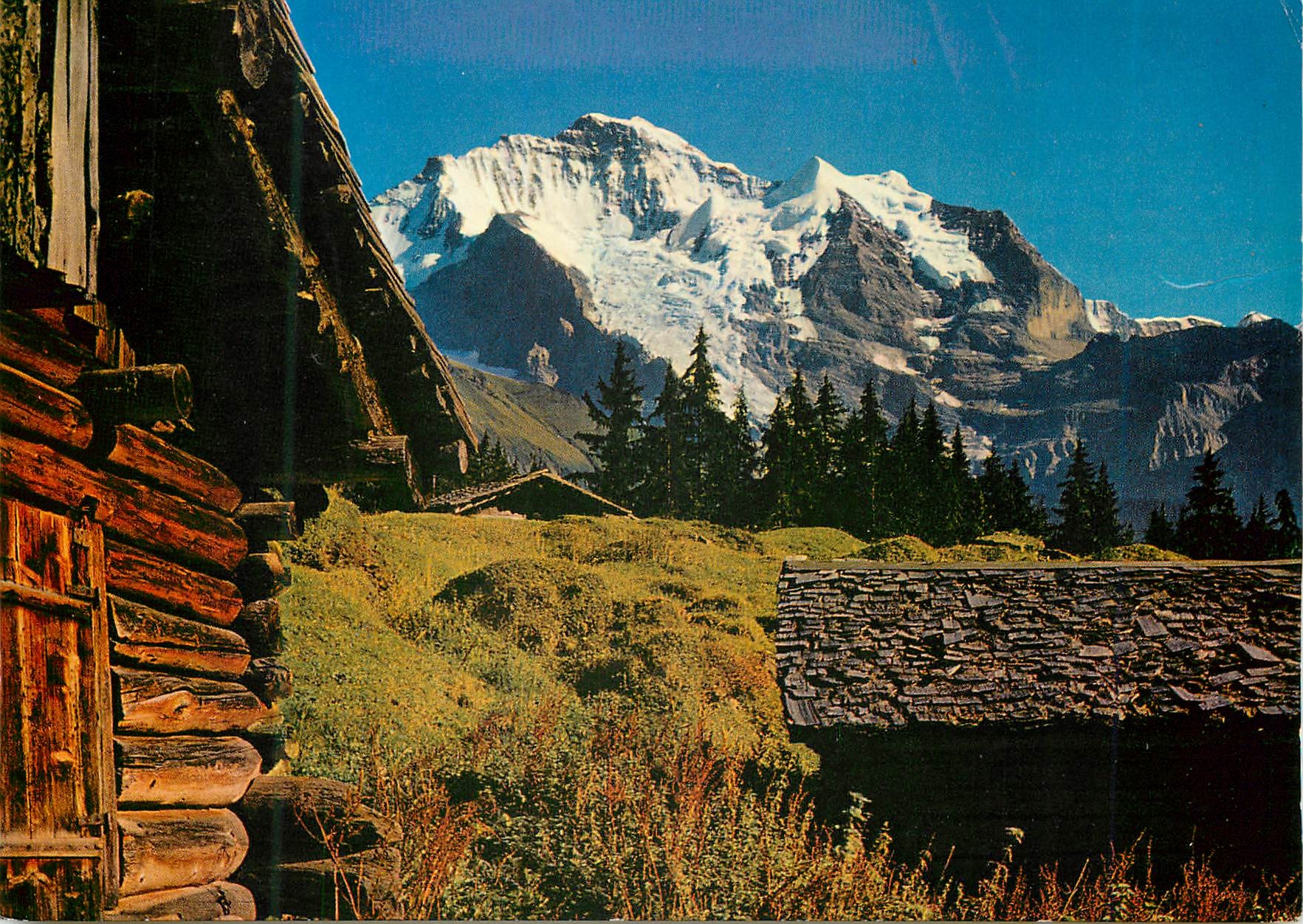 CPM Partie bei Wengen mit Jungfrau Foto und Verlag Jul Burch Lungern Druck Engadin Press Ag Samedan