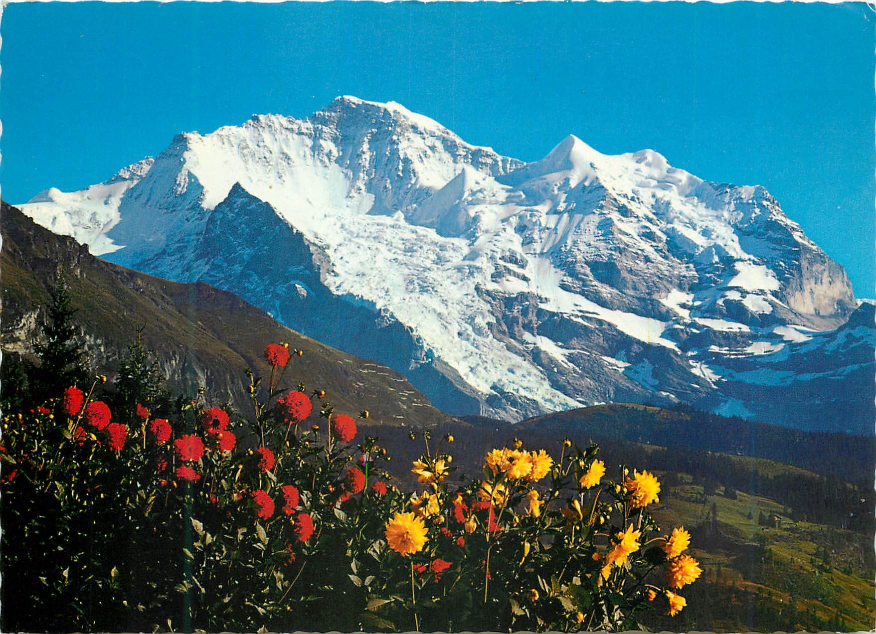 CPM Die Jungfrau Photoglob Wehrli Ag Zurich
