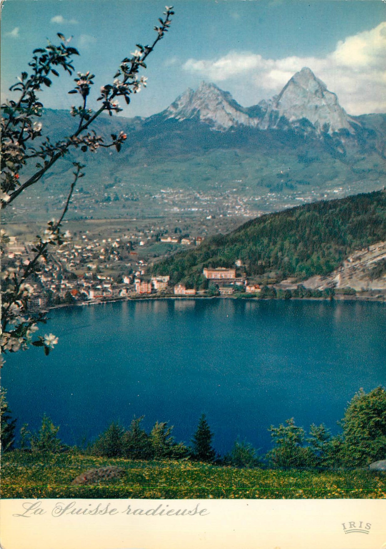 Suiza radiante — vista del lago y las montañas — IRIS