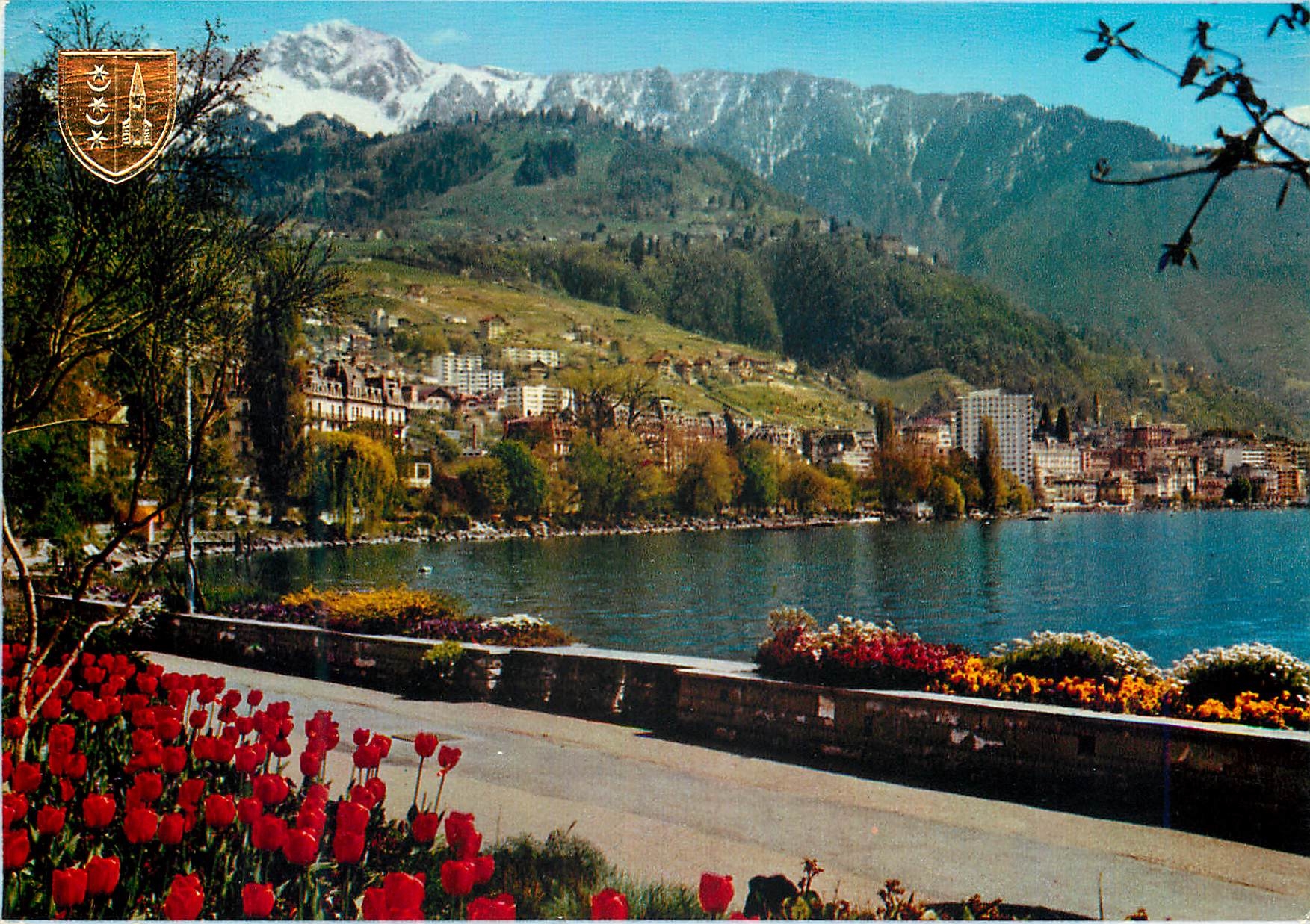 CPM Montreux Clarens Les Quals fleuris Die bluehenden Kais