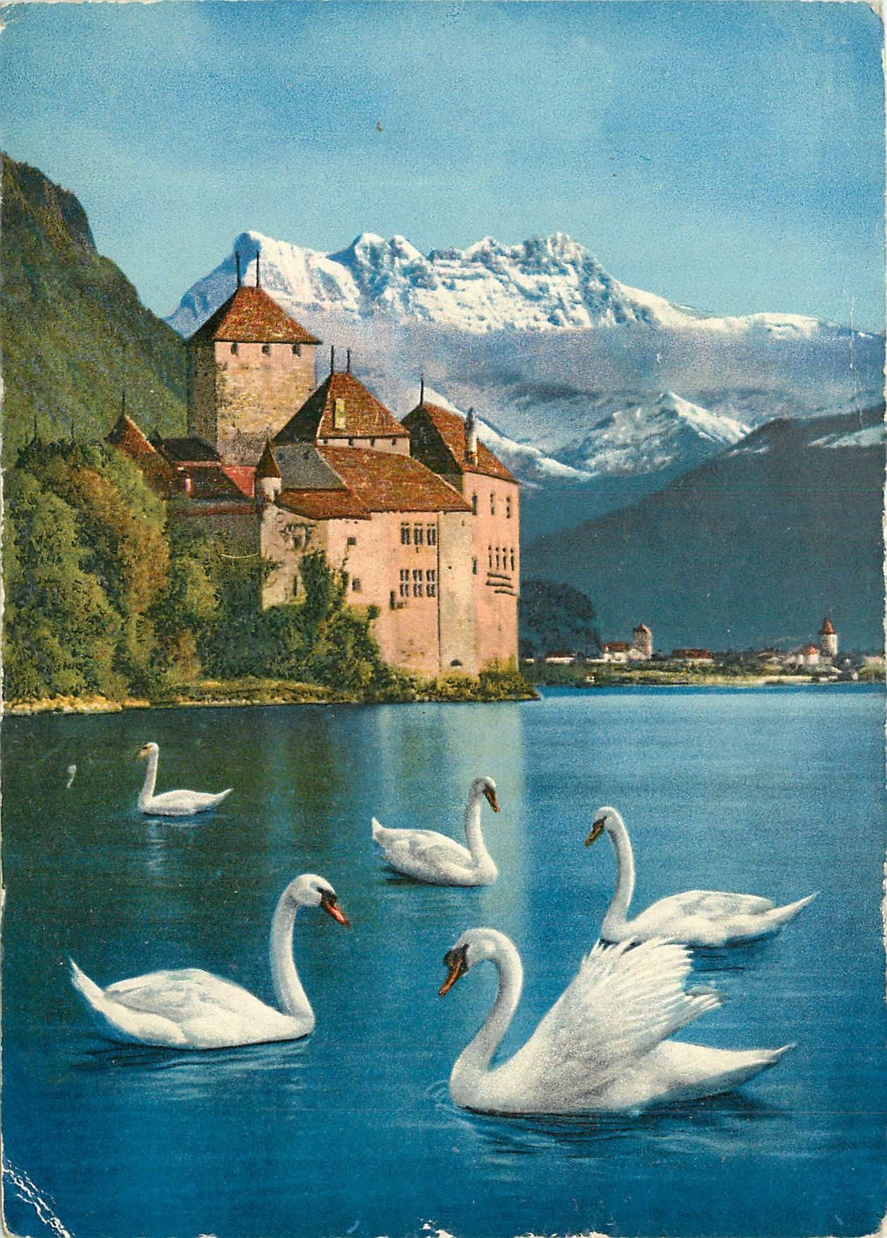 CPM Lac Leman Chateau de Chillon et les Dents du Midi Cygnes