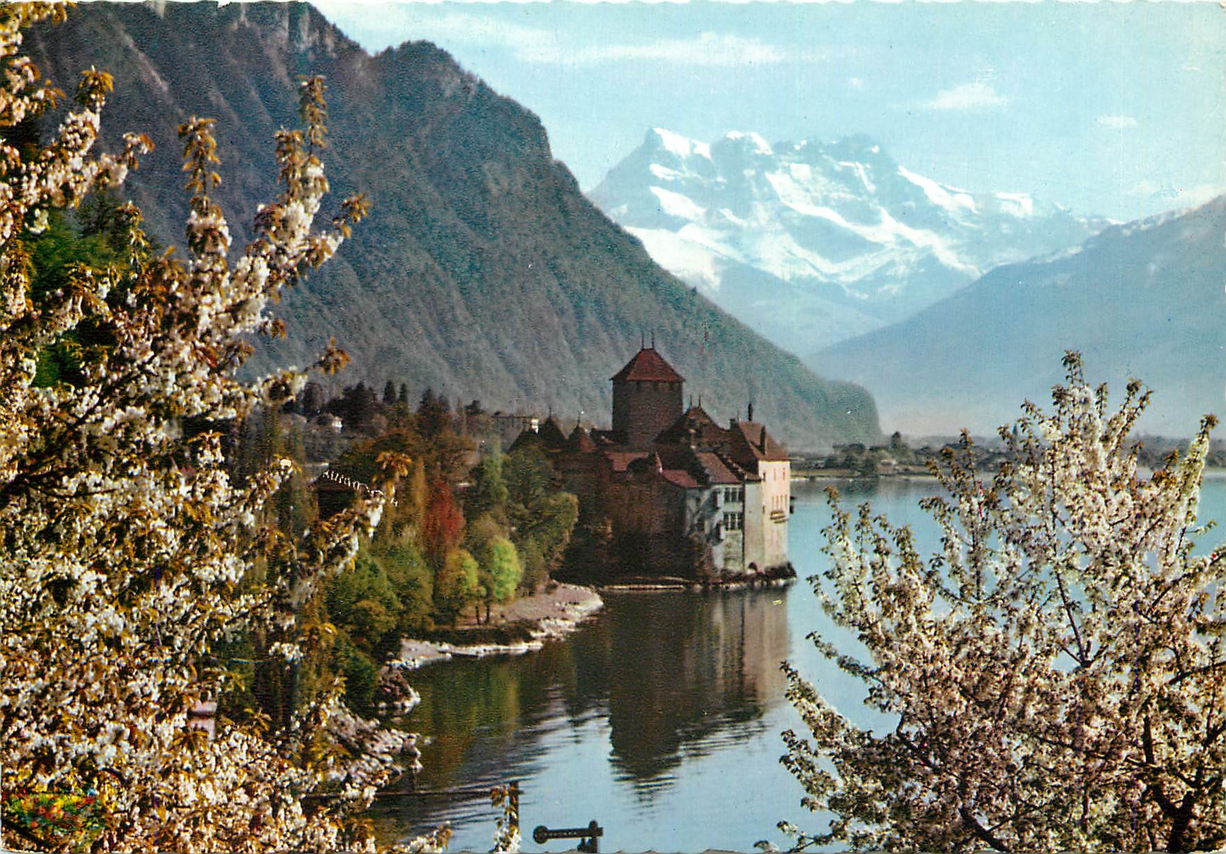 CPM Lac Leman Le Chateau de Chillon et les Dents du Midi au printemps Lumicap Collectionnez les Cartes Postales
