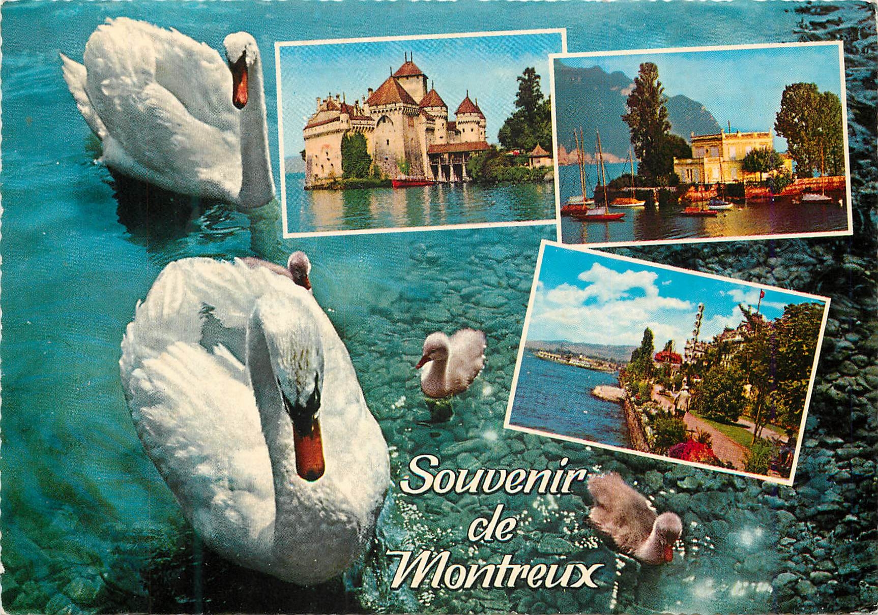 CPM Souvenir de Montreux Montreux Septembre Musical Helvetia Cygnes