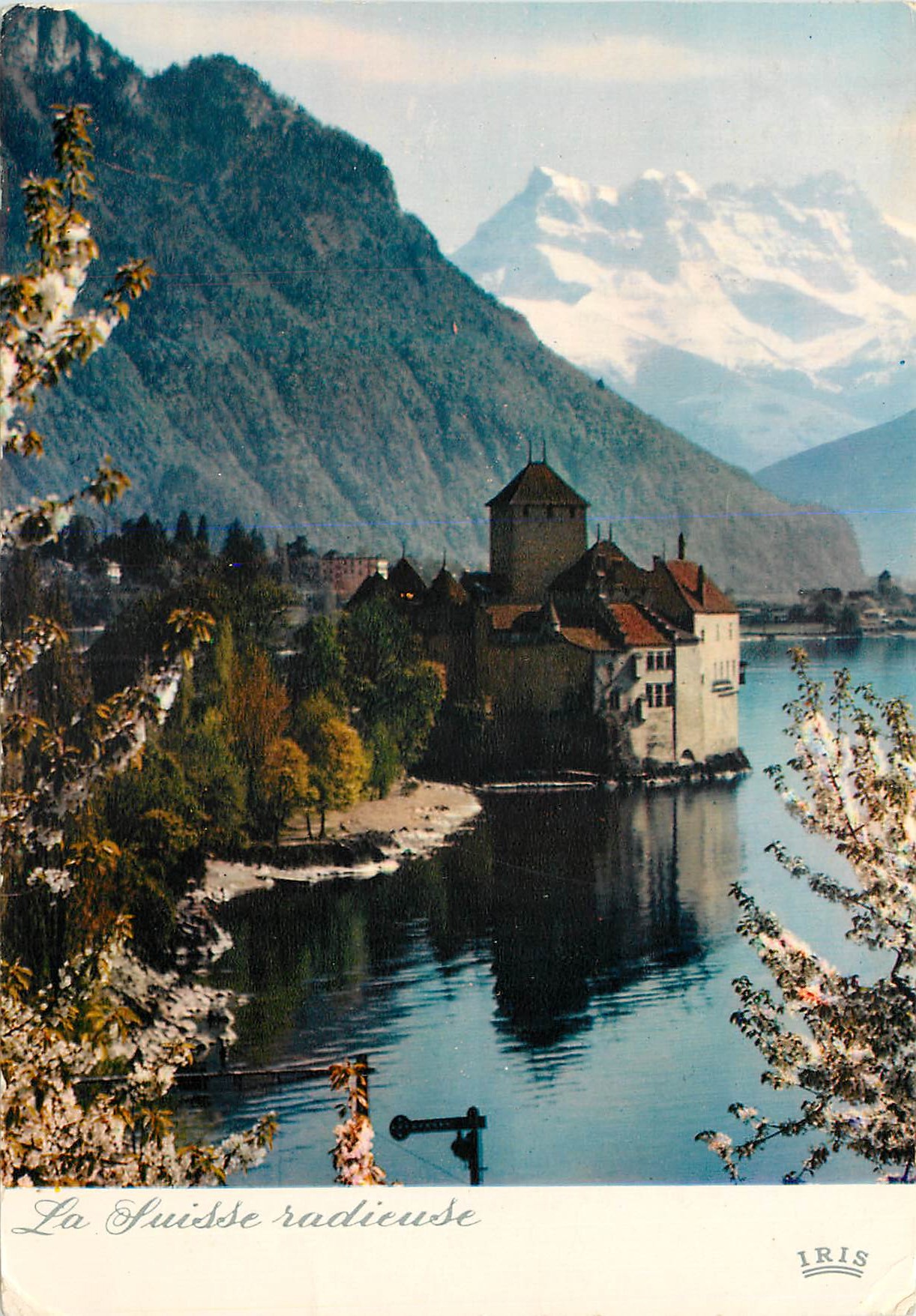 CPM La Suisse radieuse Le Chateau de Chillon et les Dents du Midi Schloss Chillon am Genfersee Haute Savoie Republique F