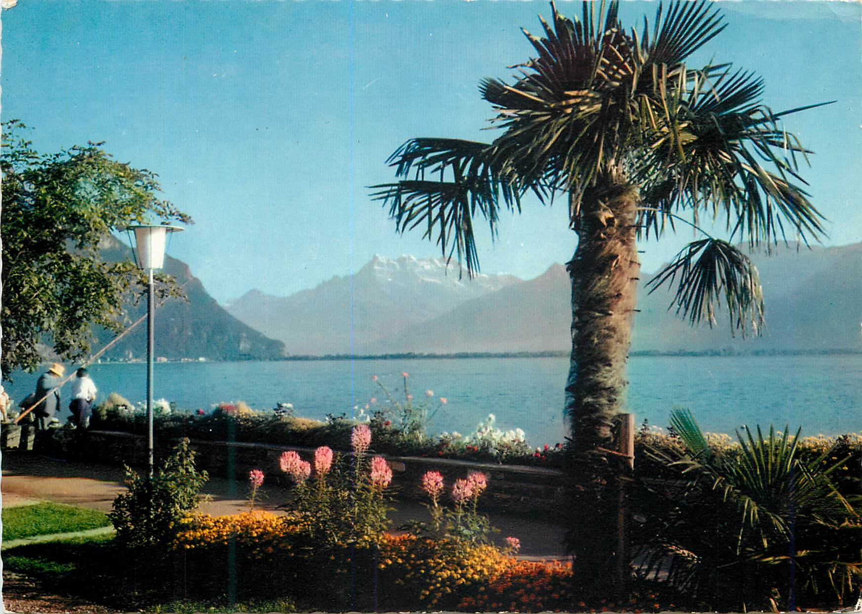 CPM Montreux Chillon Le Quai et les Dents du Midi Sciez Lact et Forets Republique Francaise Reproduction interdite