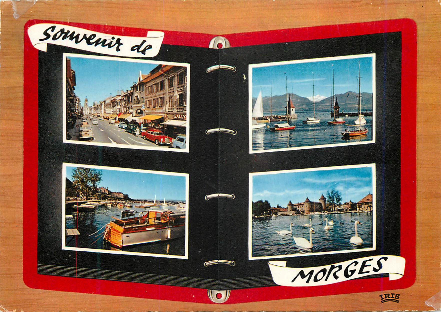 CPM Souvenir de Morges Iris Morges Iris Mexichrome Reproduction interdite Fete Federale de Gymnastique Berne 17 25 Juin 