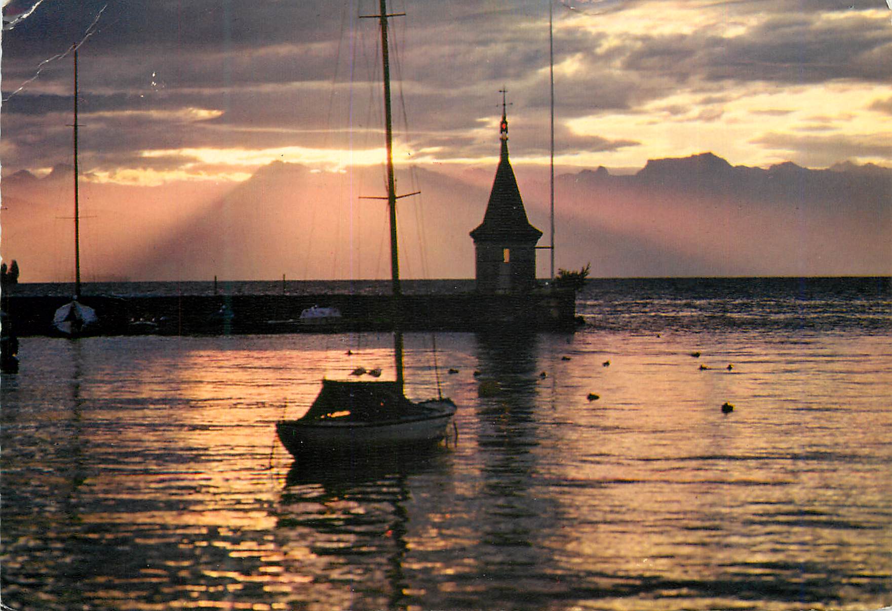 CPM Lac Leman Lever de Soleil a Morges Helvetia