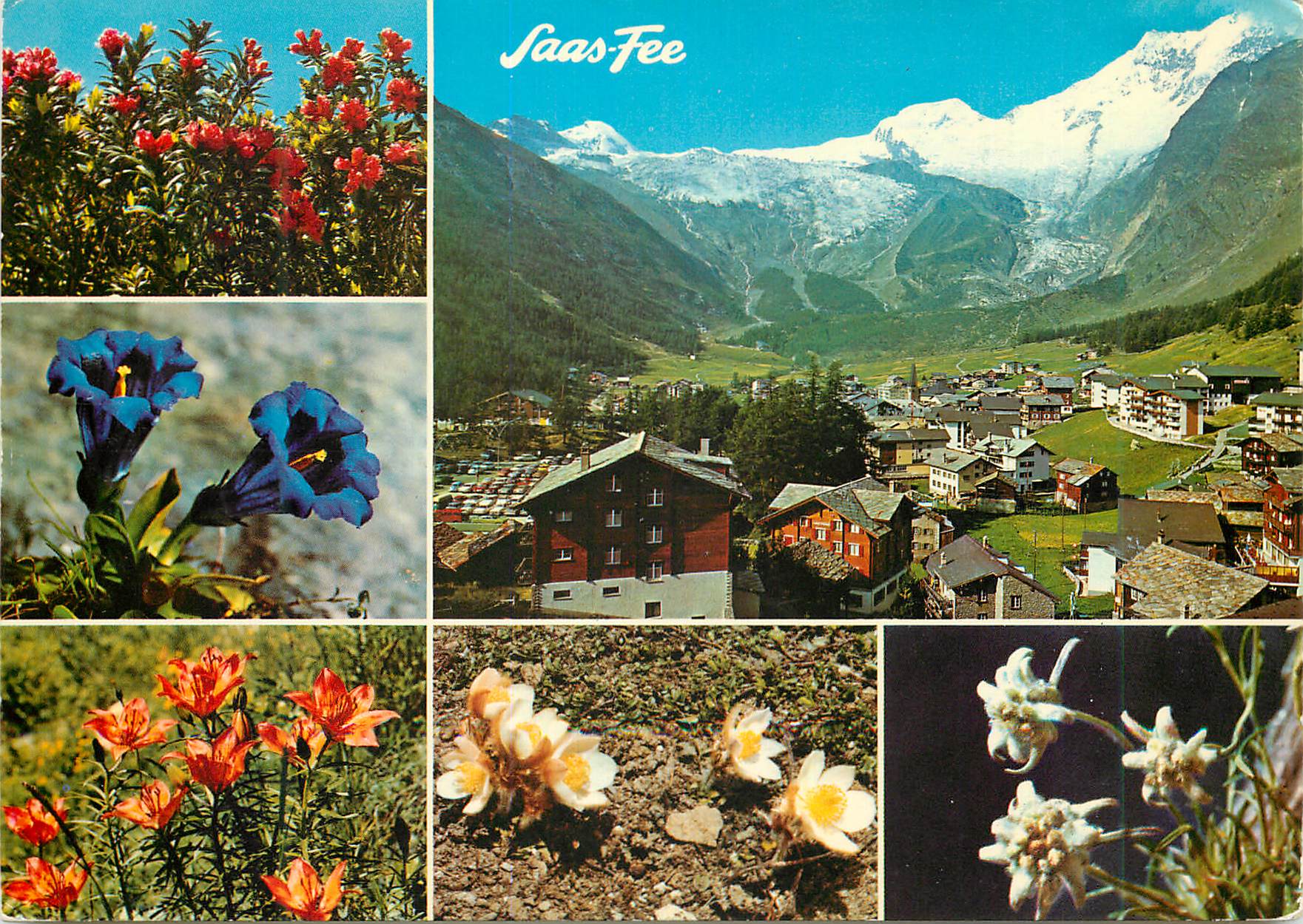 CPM Saas Fee Saas fee mit Allalin Alphubel und Taschhorn Saas Fee Perle der Alpen Helvetia