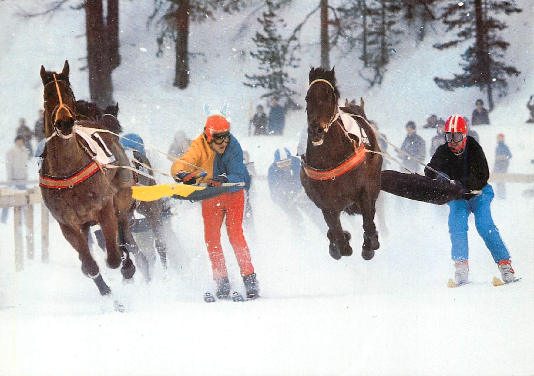 CPM Skikjoring auf dem St Moritzersee Chevaux