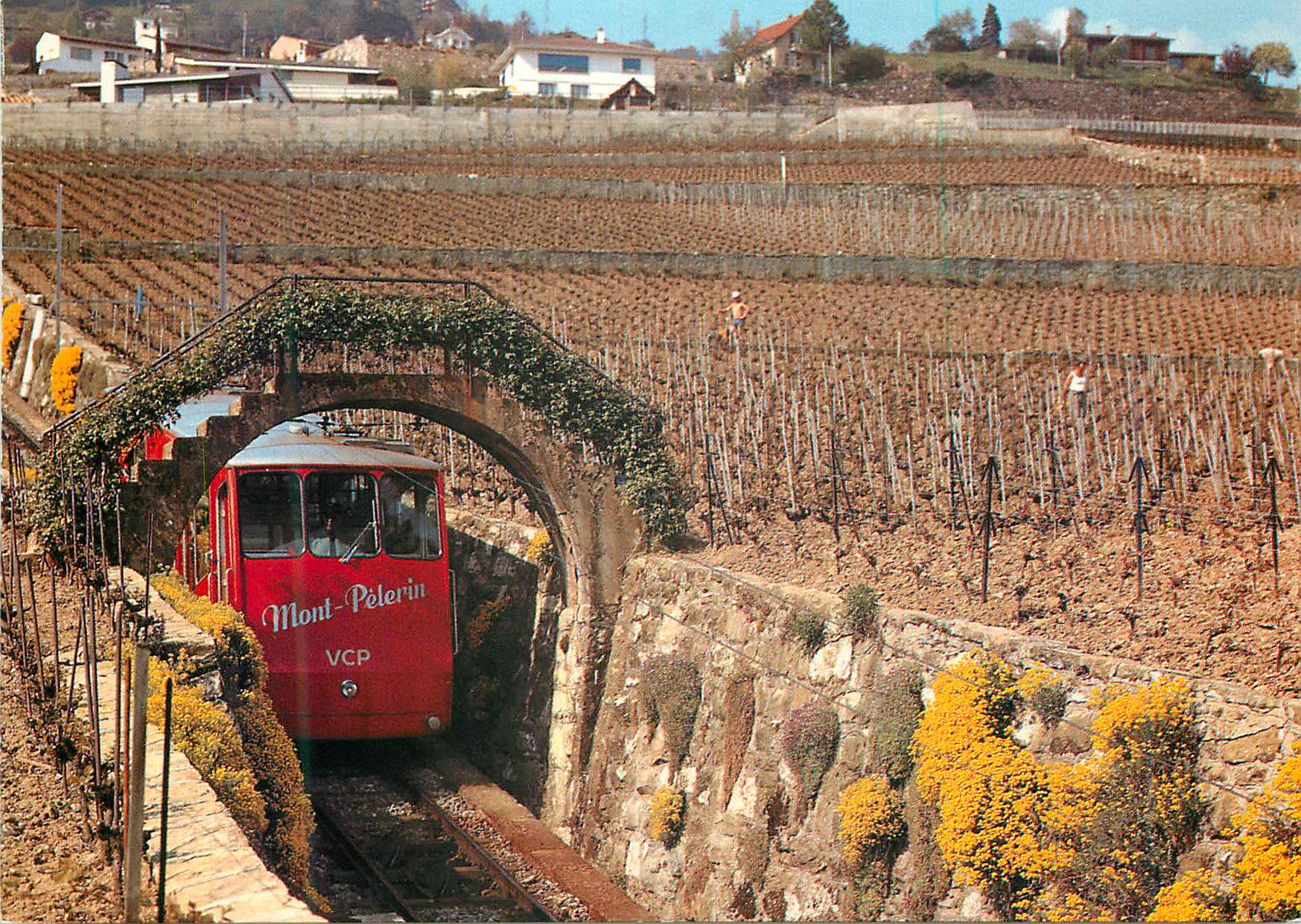 CPM Funiculaire dans le vignoble de Corseaux Photo Eric Ed Guignard Vevey Edite par Sauberlin Pfeiffer S A Vevey  Train 