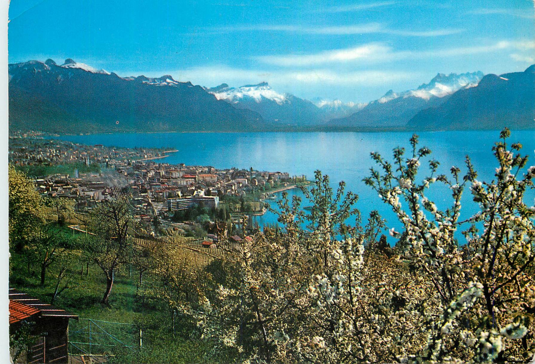 CPM Vevey et les Alpes Vevey und Alpen Vevey le Alpi