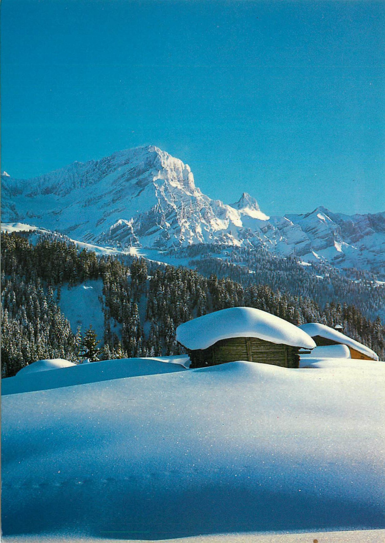 CPM Grand Muveran et Petit Muveran Villars Ollon Suisse 