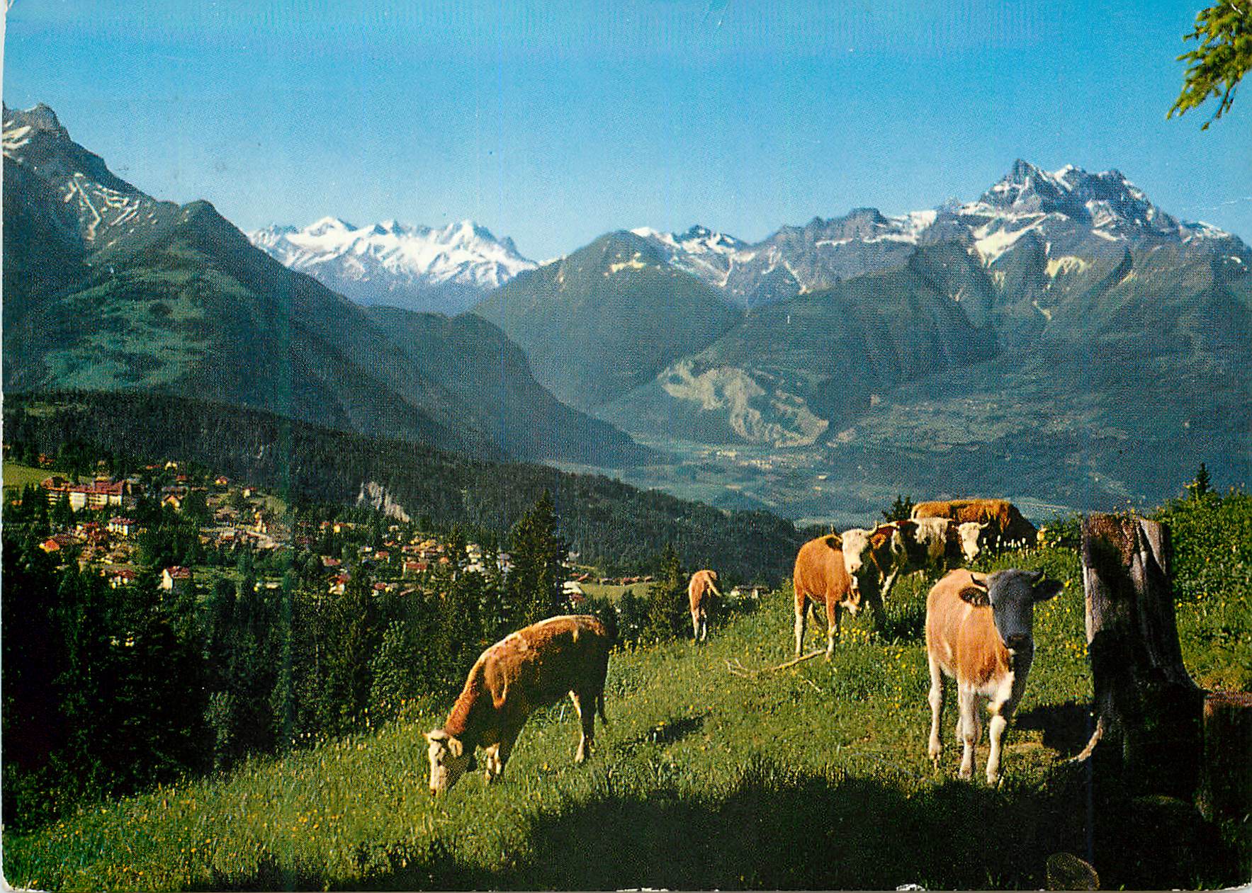 CPM Villars s Ollon et les Dents du Midi 