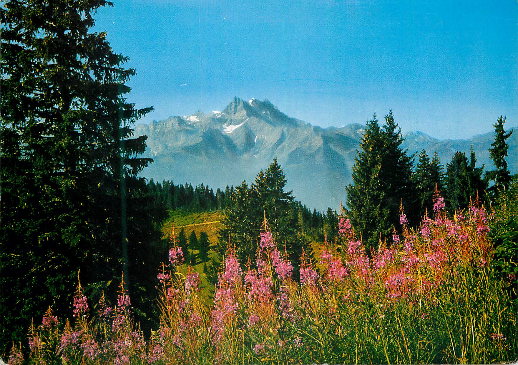 CPM Villars s Ollon Les Dents du Midi
