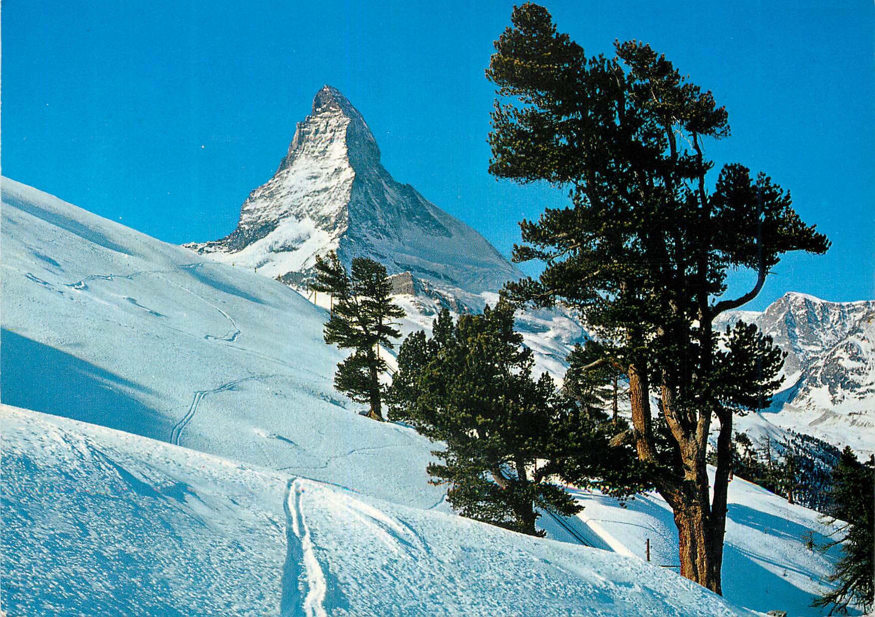 CPM Zermatt Arven auf Rifferlalp Matterhorn Zermatt am Matterhorn Ferien Nach Mass