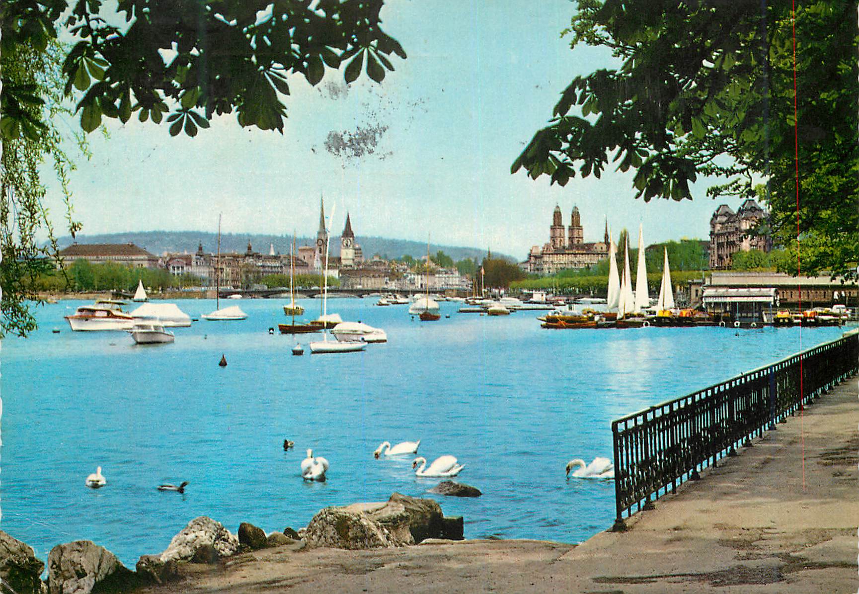 Vue de Zurich — lac et ville — éditeur Rowessa-Verlag R. E. Weil, n° 946/4