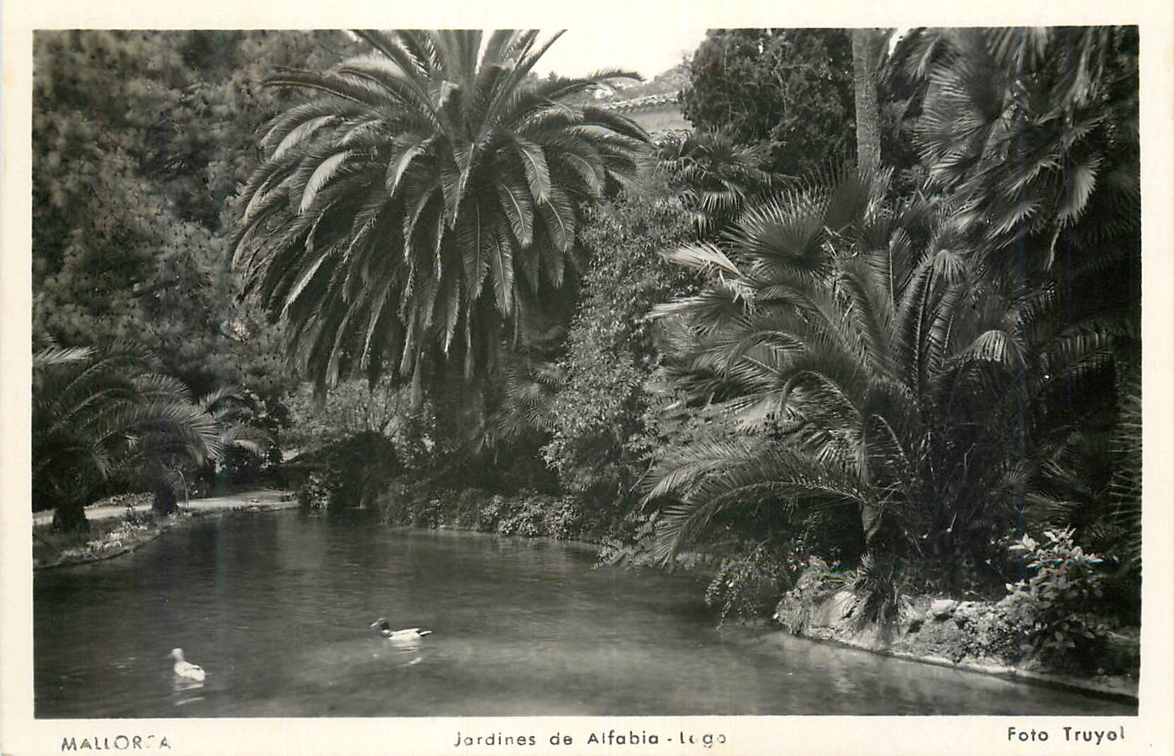 CPM Mallorca Jardines de Alfabia Lago Foto Truyal