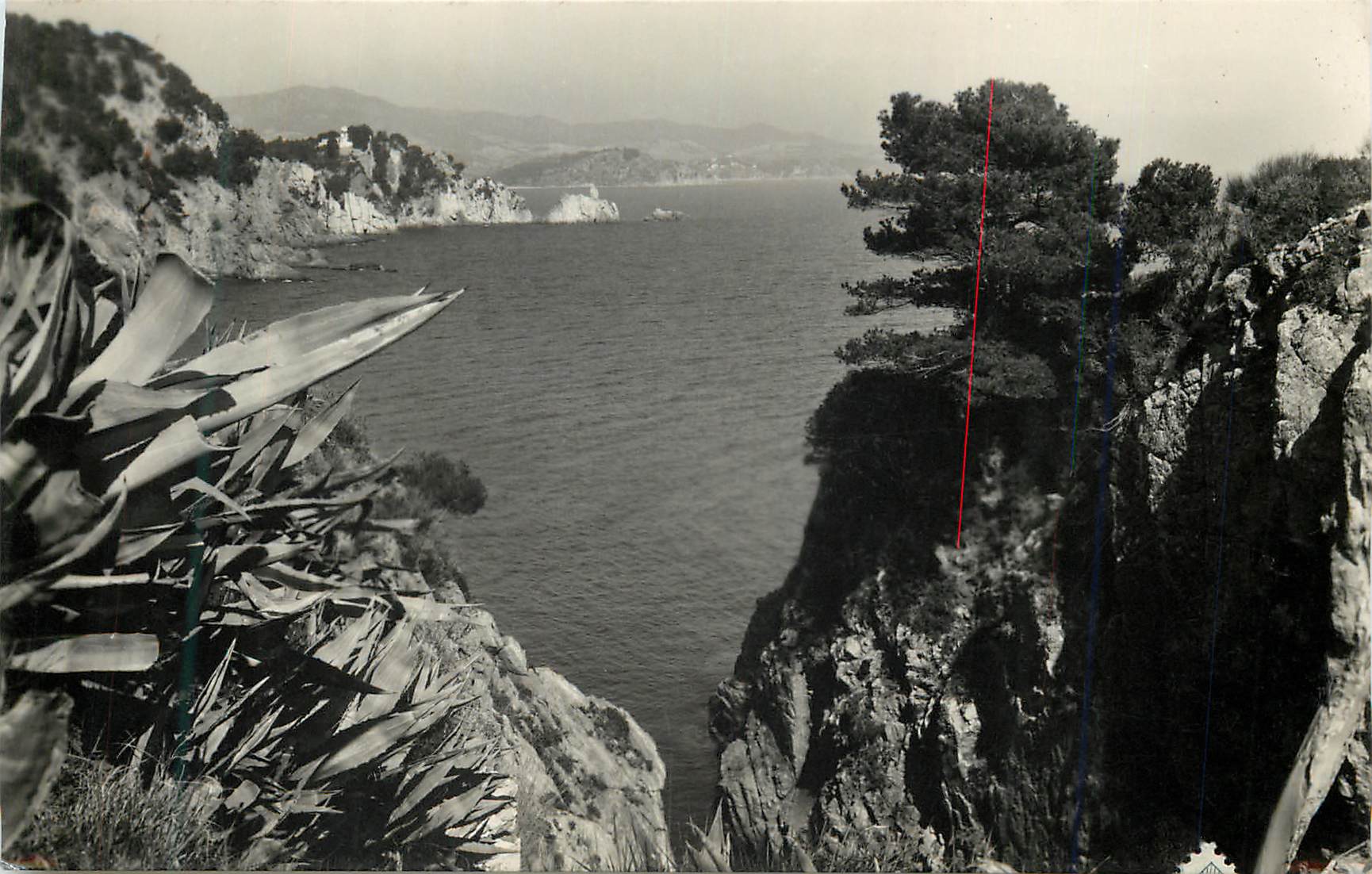CPM Costa Brava Bianes Panoramica de la Costa Panoramique de la Cote Fot Roman reproduccion prohibida Espana
