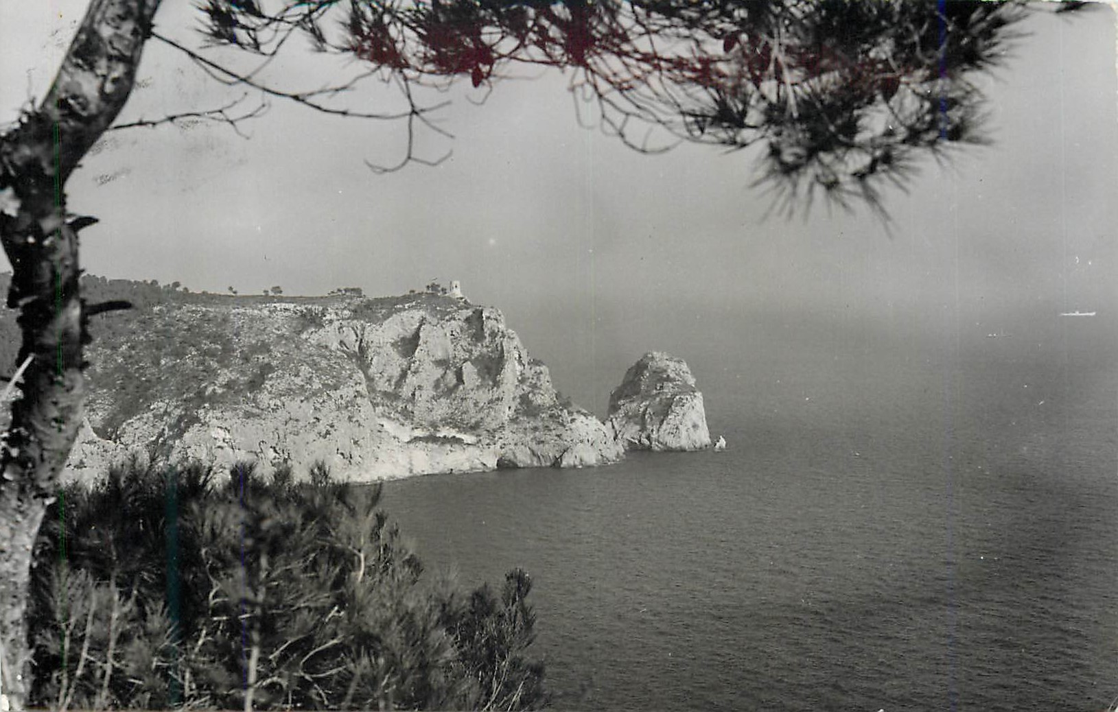 CPM Javea Alicante El Calo Fotografia del ll G Callosa Alicante Espana